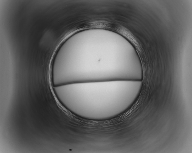 X0000098161439200804171208