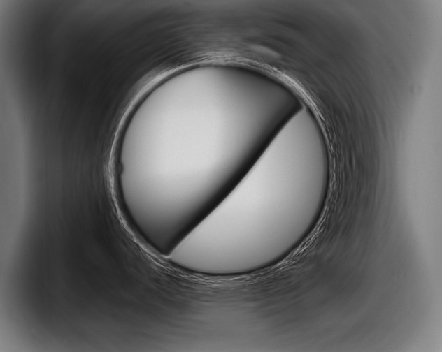 X0000098161440200804171208