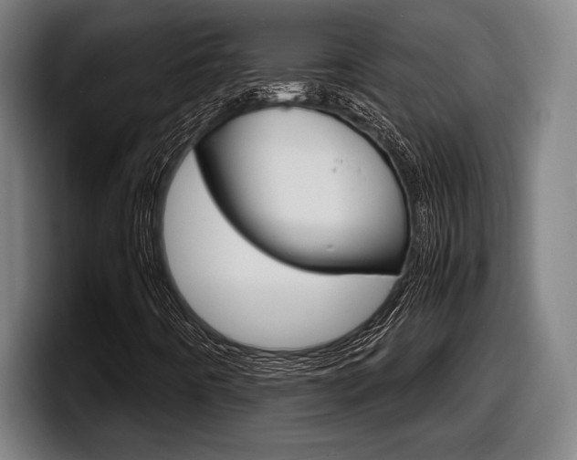 X0000098161442200804171207