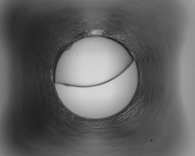 X0000098161443200804171207