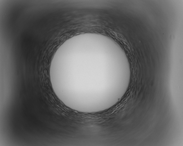 X0000098161445200804171207