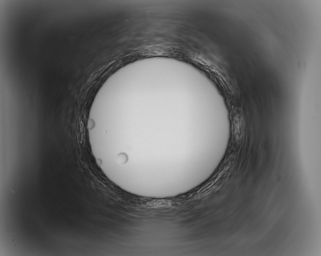 X0000098161446200804171207