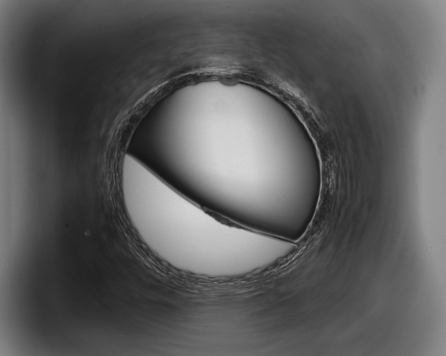 X0000098161448200804171207