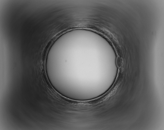 X0000098161449200804171207