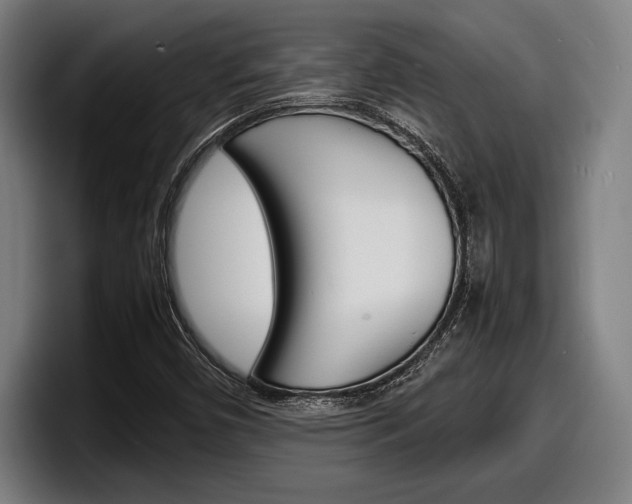 X0000098161450200804171207