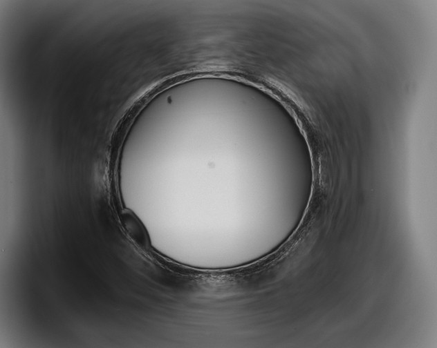 X0000098161452200804171207