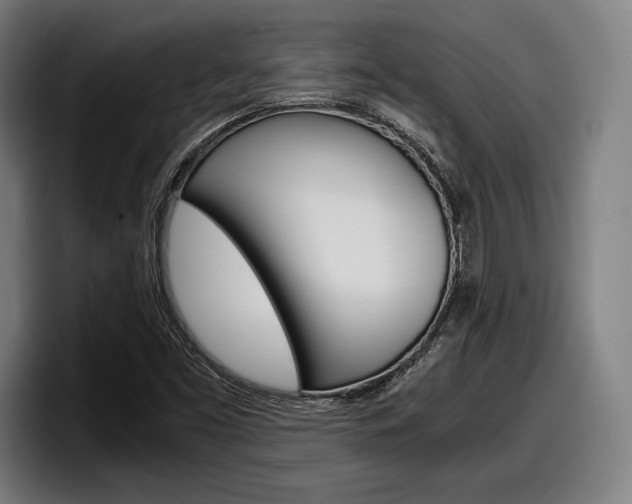 X0000098161453200804171207