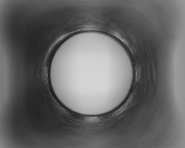 X0000098161454200804171207