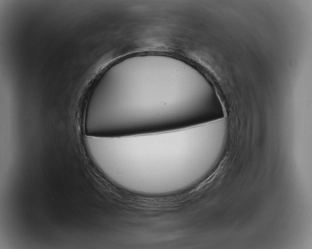 X0000098161455200804171207