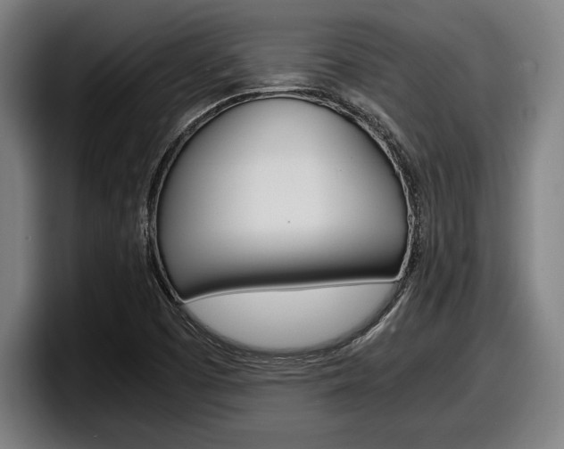 X0000098161457200804171207