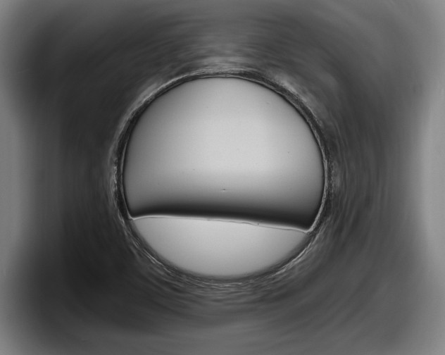 X0000098161459200804171207