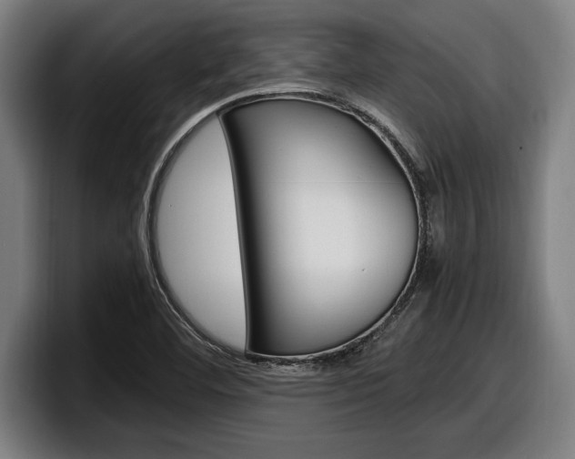 X0000098161460200804171207