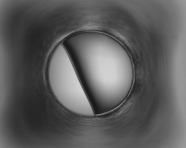 X0000098161461200804171207