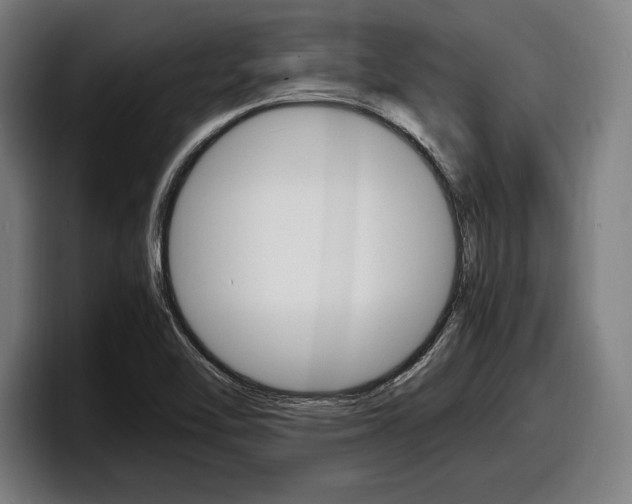 X0000098161462200804171207