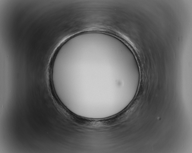 X0000098161463200804171207