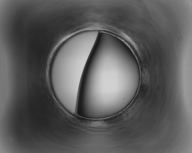 X0000098161464200804171207