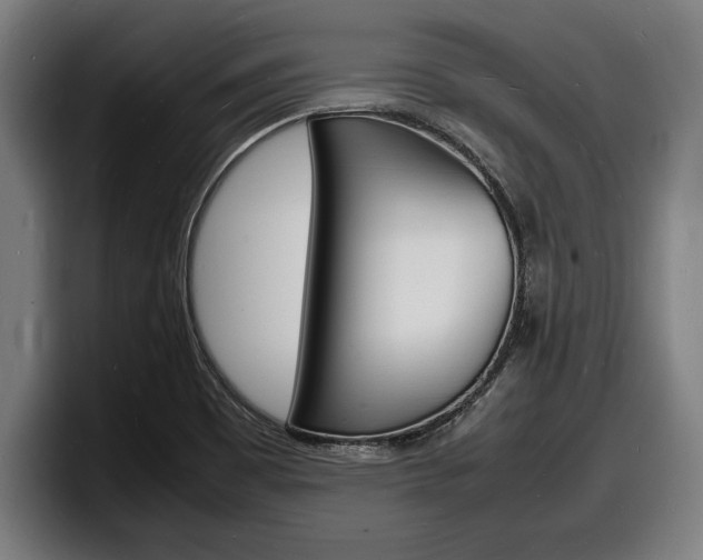 X0000098161465200804171207