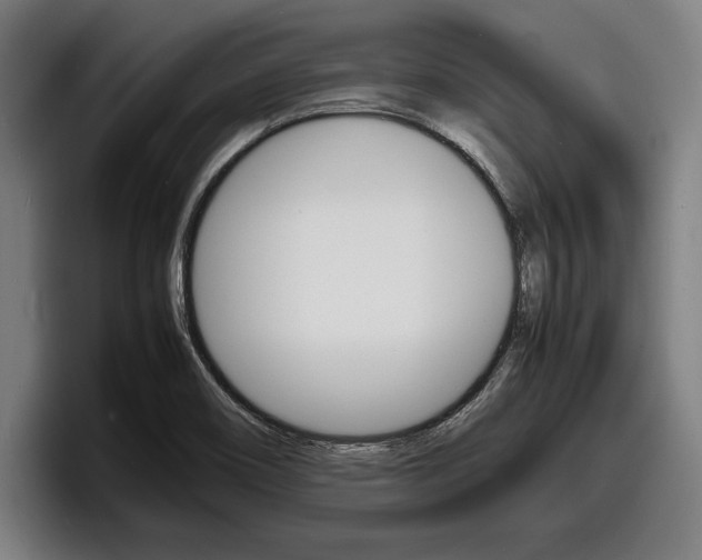 X0000098161466200804171207