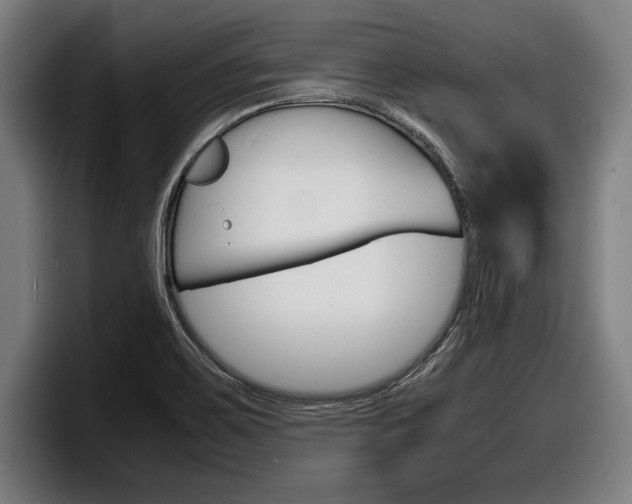 X0000098161467200804171207