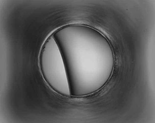 X0000098161468200804171207