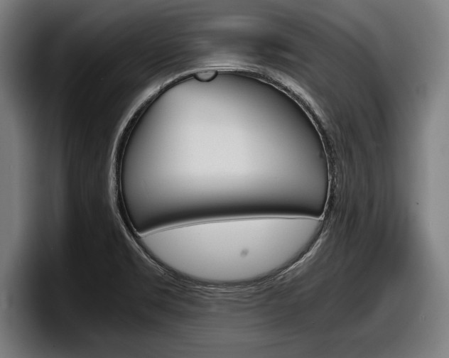 X0000098161469200804171207
