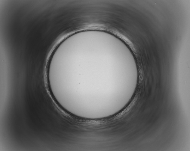 X0000098161470200804171207