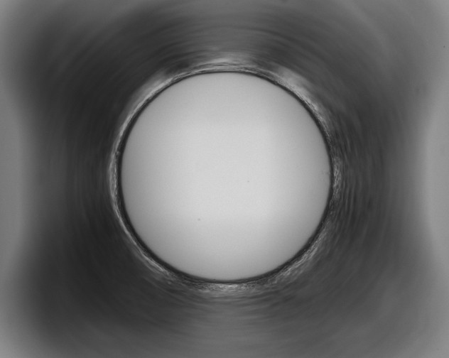 X0000098161474200804171207