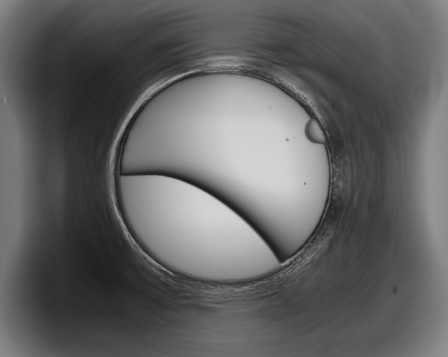 X0000098161475200804171207