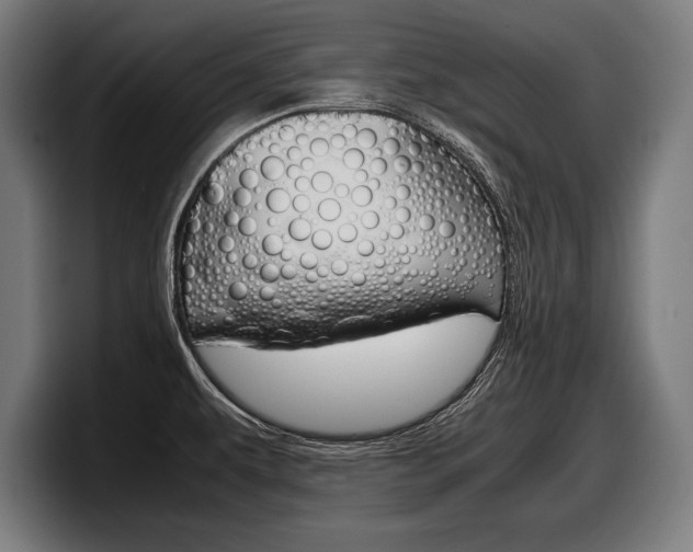 X0000098161479200804171207