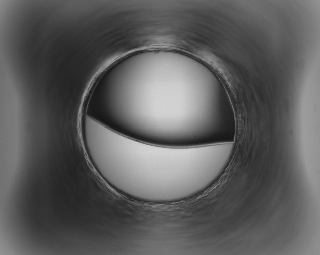 X0000098161480200804171207