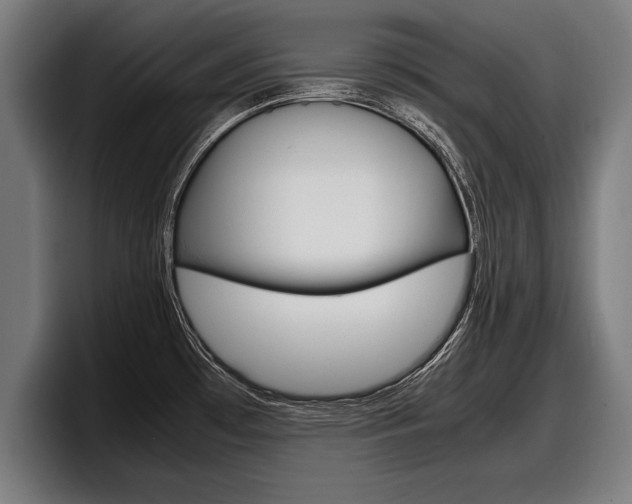 X0000098161481200804171207