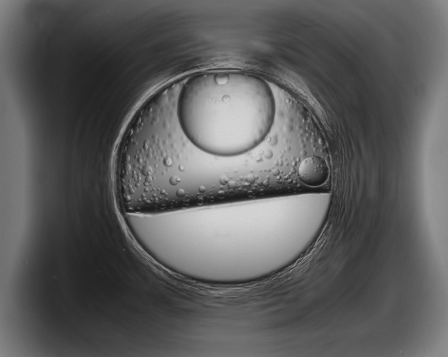 X0000098161483200804171207
