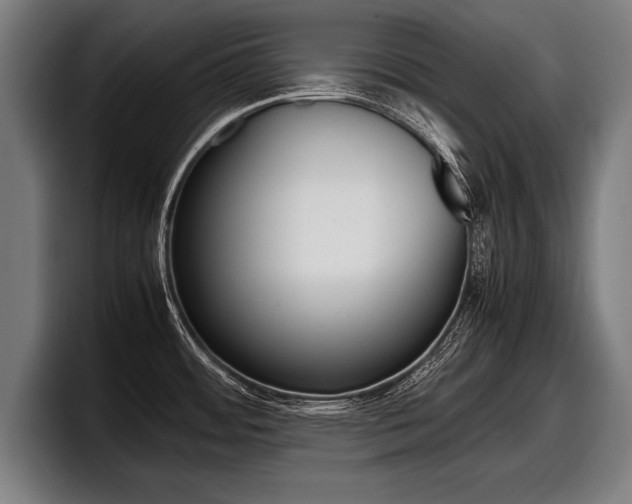 X0000098161484200804171207
