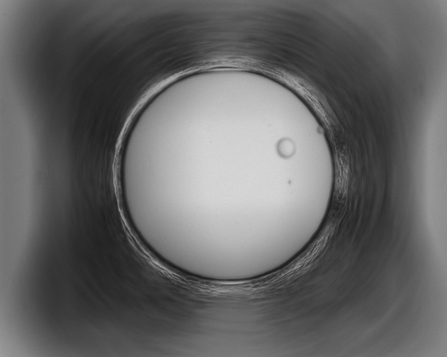 X0000098161486200804171207