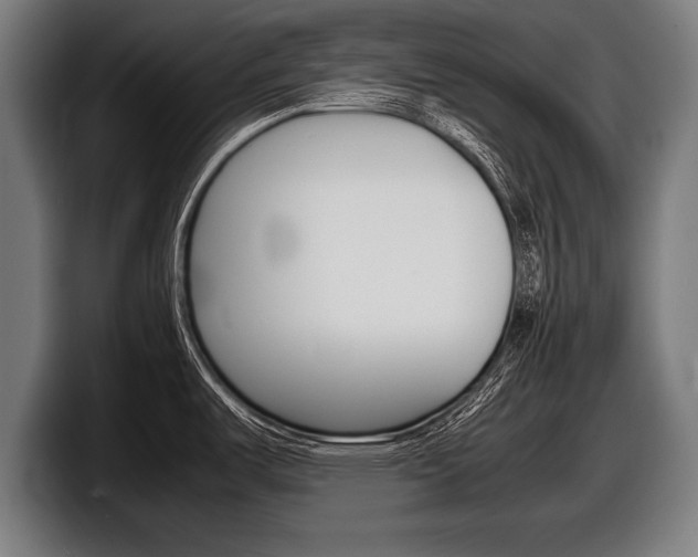 X0000098161487200804171207