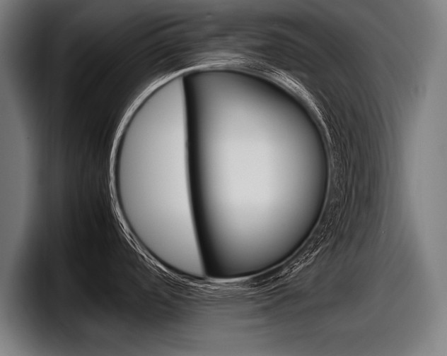 X0000098161488200804171207