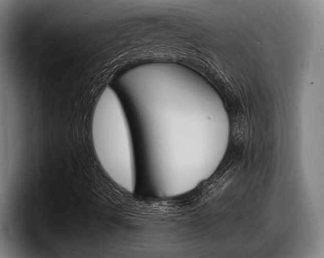 X0000098161490200804171206