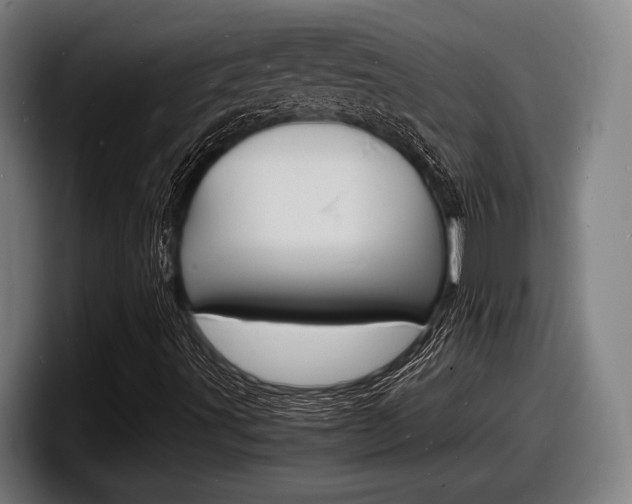 X0000098161491200804171206
