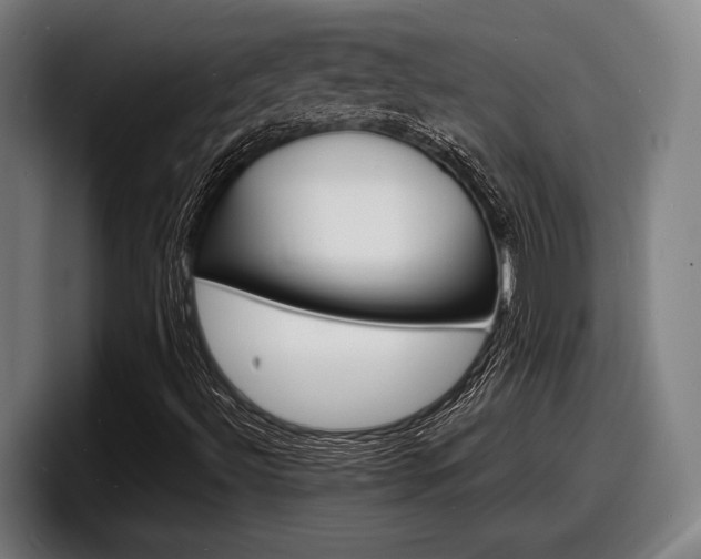 X0000098161492200804171206