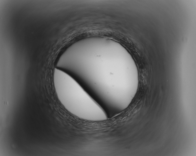 X0000098161493200804171206