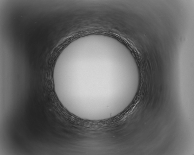 X0000098161494200804171206