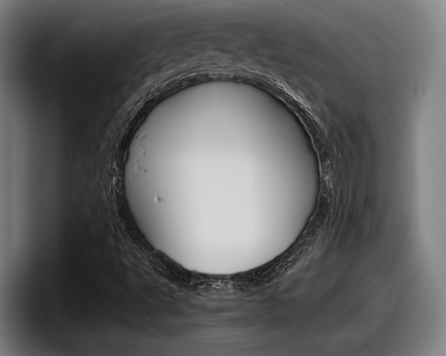 X0000098161495200804171206