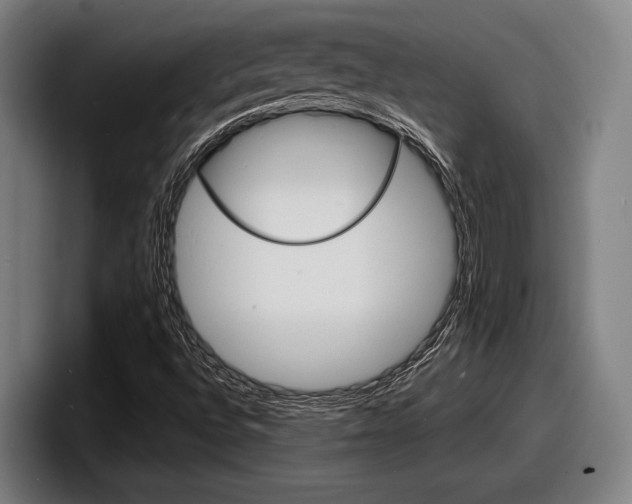X0000098161496200804171206