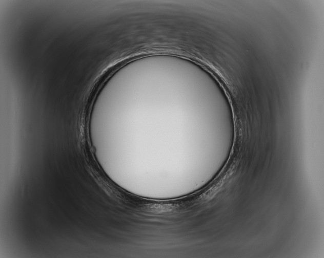X0000098161499200804171206