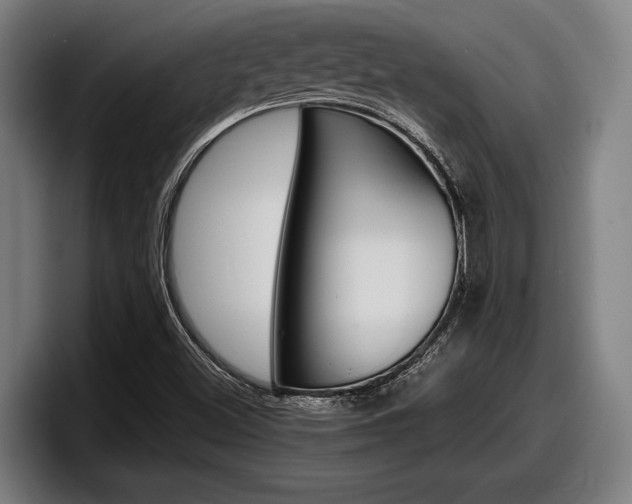 X0000098161500200804171206