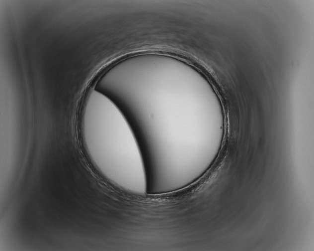X0000098161501200804171206