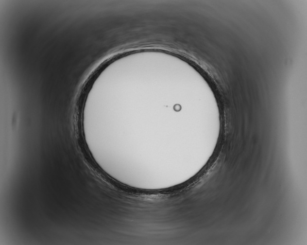 X0000098161502200804171206