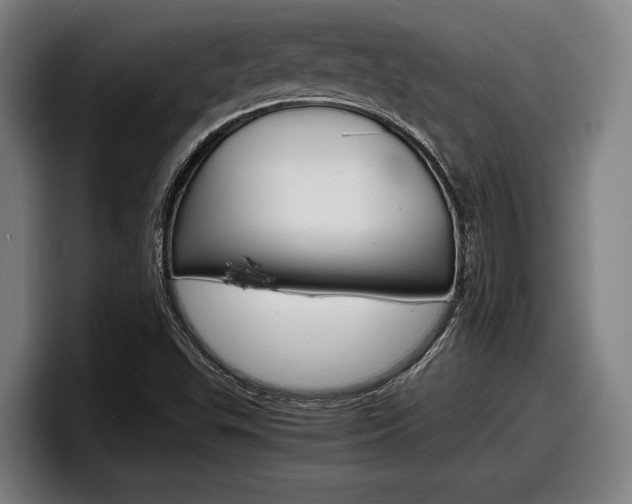 X0000098161503200804171206