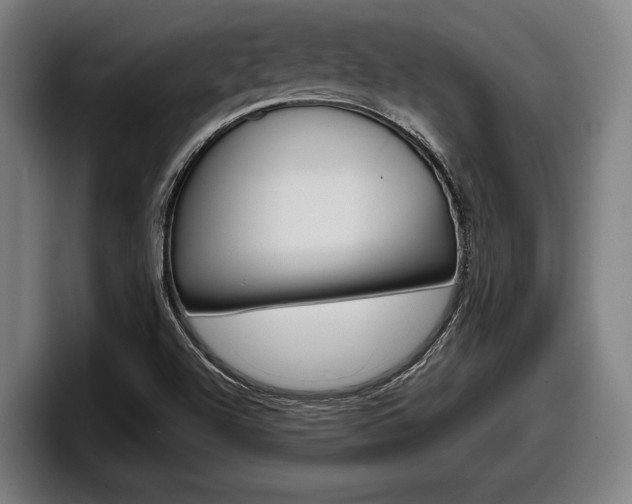 X0000098161504200804171206