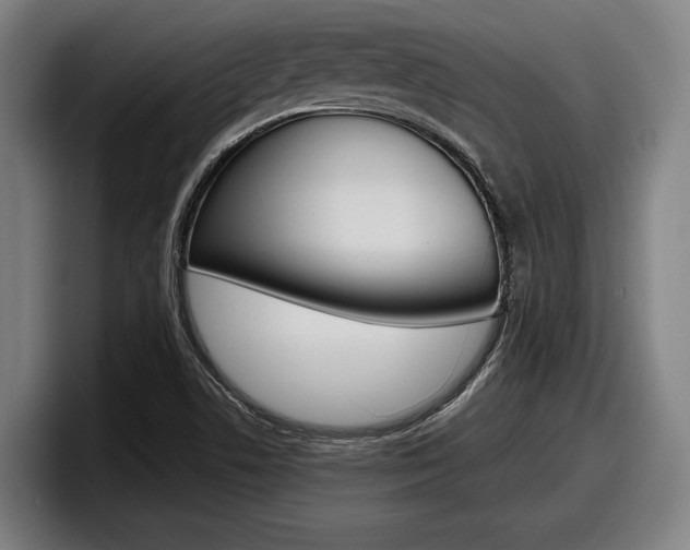 X0000098161506200804171206